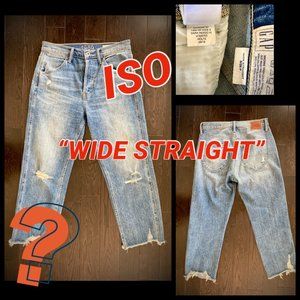 ISO: Gap "Wide Straight" High Rise